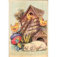Подписанная открытка Чехословакия "Пасха. Цыплята и собака" худ. Ян Баламута