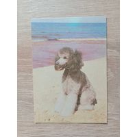 Календарик 1991