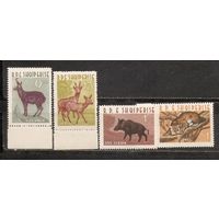 ФФ1 Албания 1962 Фауна