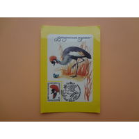 Календарик 1986 г.  ВОФ.  Венценосный журавль.