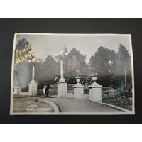 Сочи. Парк Ривьеры. 1946