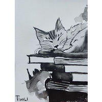 Спящий кот