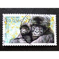 Марка Германия 2001 год Исчезающие животные