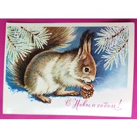 С новым годом! Чистая. 1981 года. Достян. 2599.