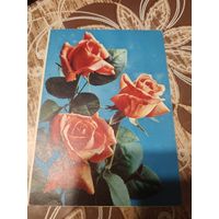 Открытка,телеграмма,подптсана