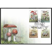 КПД "Ядовитые грибы", 2022