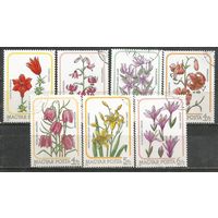 Венгрия. Лилии. 1985г. Mi#3788-94. Серия.