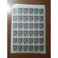 СССР 1977 ГВОЗДИКА ПОЛЗУЧАЯ