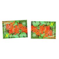 Марка Рододендрон 'Академик Смольский'