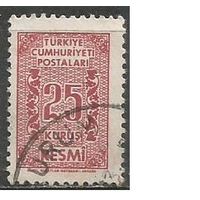 Турция. Цифра в обрамлении. Доплатная марка. 1962г. Mi#82.