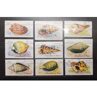 Республика Гвинея. 1977 год. Фауна. Ракушки (1327)