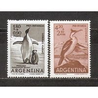 ФФ1 Аргентина 1961 Фауна