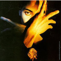 Terence Trent DArby - Neither Fish Nor Flesh / LP