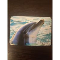 Календарик,реклама,2006