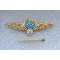 Классность пилот 3-го класса. Гражданская авиация СССР.