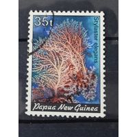 Папуа Новая Гвинея флора кораллы