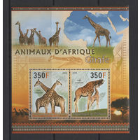 Джибути 2013** Животные Африки