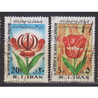 Цветы 2-я годовщина Исламской революции флора  Иран 1981 год лот 14