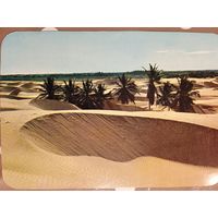 Венесуэла. Дюны