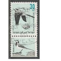 Израиль. Птицы. Белая трясогузка. 1992г. Mi#1250.