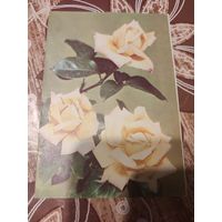 Открытка,телеграмма,подписана