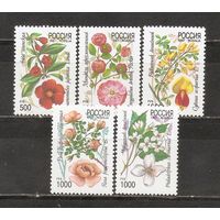 ФФ1 Россия 1997 Цветы