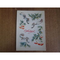 Почтовая открытка.1983 год.Чистая.