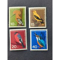 Германия 1963. Молодежный хостел - Птицы. Полная серия