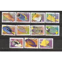 ФФ2 Южная Африка 2000 Рыбки