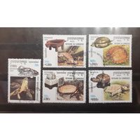 Камбоджа. 2000 год. Фауна. Черепахи (120)
