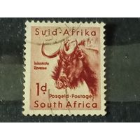 Южная Африка 1954 Фауна. Чёрная антилопа гну