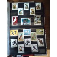 Птицы. Набор марок.