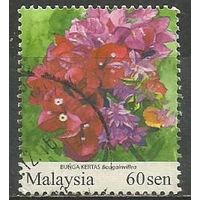 Малайзия. Садовые цветы. Бугенваль. 2010г. St#1759.
