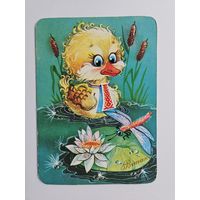 Кацарова 1992 Редкая чистая Украина стрекоза утка