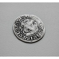 Полугрош 1510 г., Сигизмунд I Старый, Вильно, лот рп-7,10