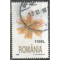 Румыния. Цветы. Лилия. 1998г. Mi#5350.