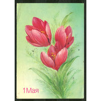 1 мая. Худ. Н. Коробова. 1988