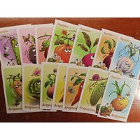 Овощи Беларусь Белпочта 14 штук Чайчук