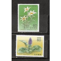 ФФ2 Япония 1984 Цветы