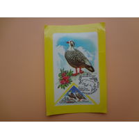 Календарик 1987 г.  ВОФ.  Улар.