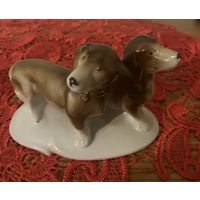 Две таксы. Германия