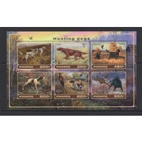 Фауна Собаки Руанда 2017** Охота Охотничьи собаки