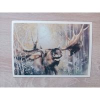 Исаков 1989, чистая