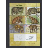 Фауна Кошки Аргентина 2001** Дикие кошки