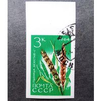 Марка СССР 1964 год Сельскохозяйственные культуры