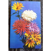 Композиция из цветов.