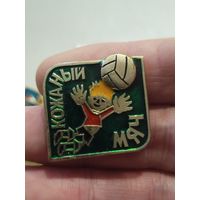 Кожаный мяч