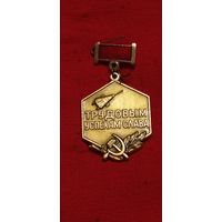 Знак Трудовым успехам слава. 7 в пять лет