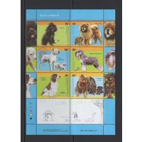 Фауна Собаки Аргентина 2005** Домашние животные Породы собак