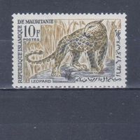 [1272] Мавритания 1963. Фауна.Дикие кошки.Леопард. МН